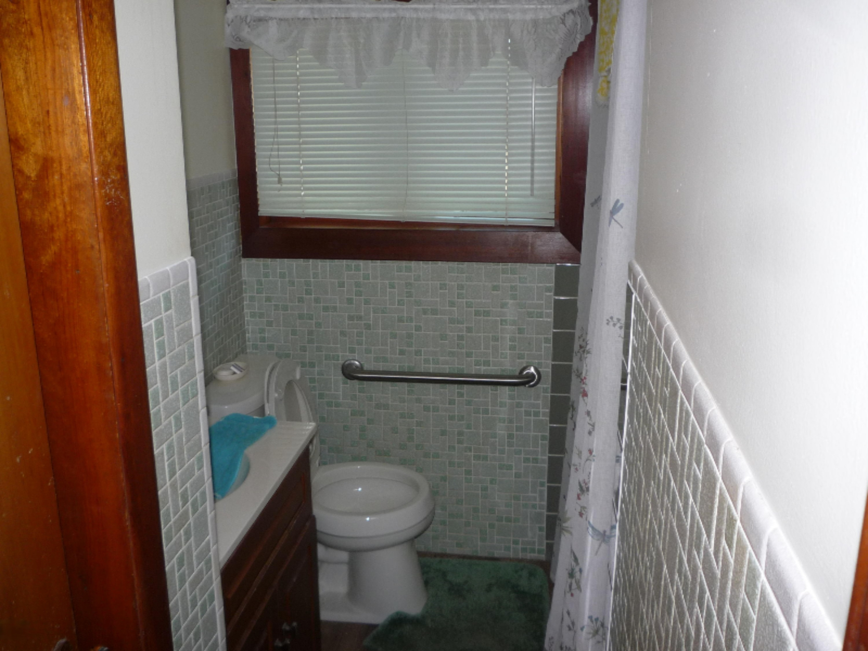 146 East Lockwood Road Coldwater, MI 49036 - Photo 13 of 35 P1060818