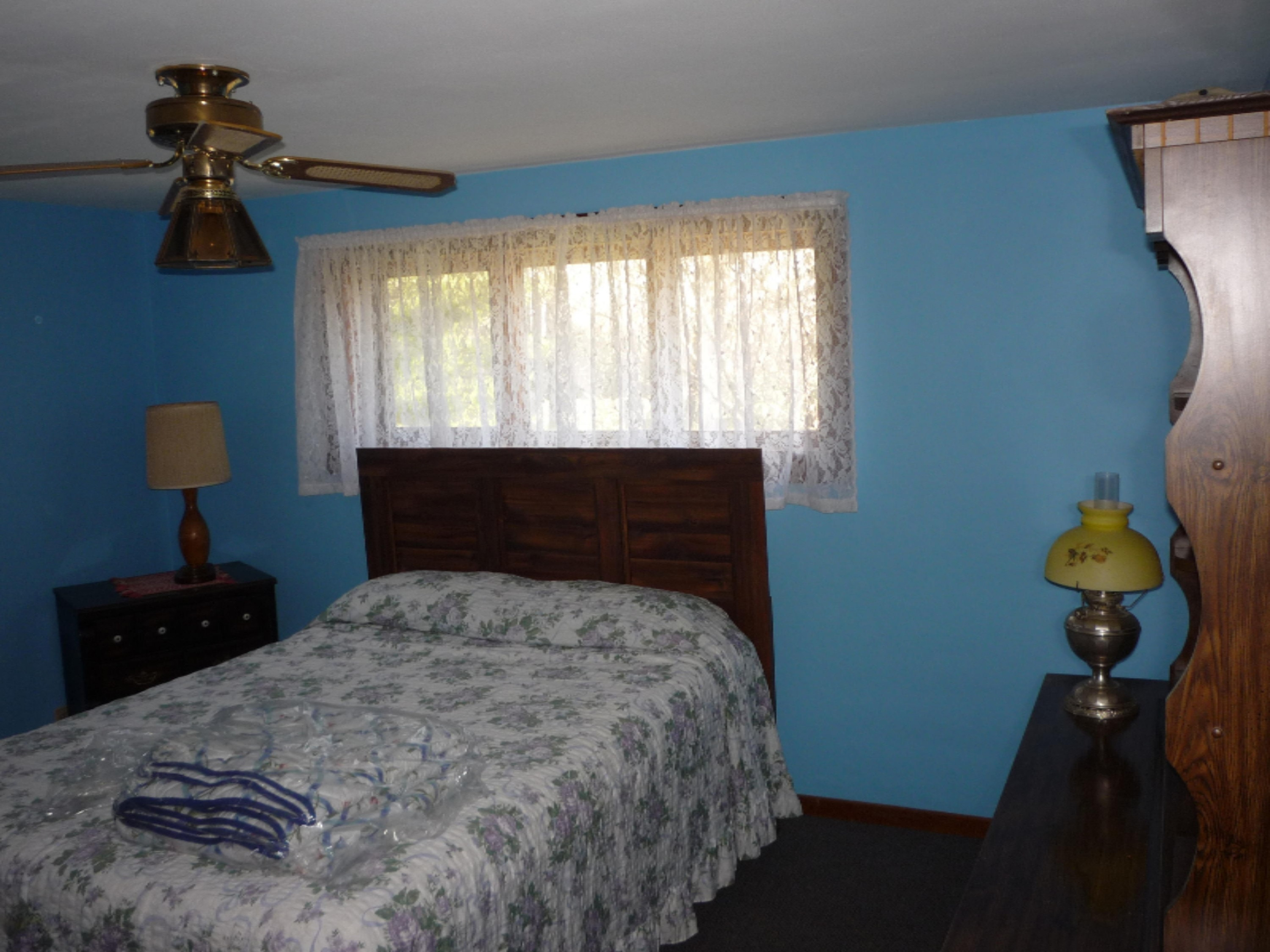 146 East Lockwood Road Coldwater, MI 49036 - Photo 8 of 35 P1060823