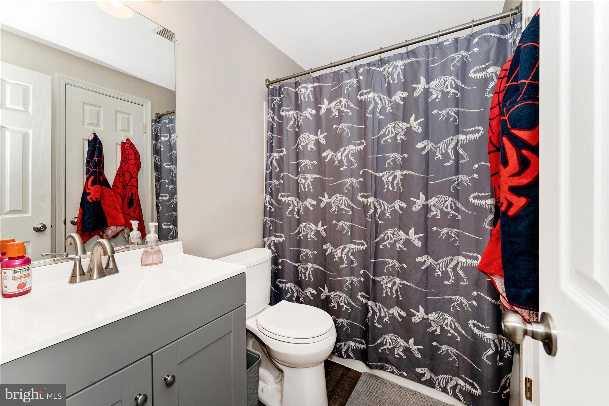 5798 Sunset View Lane Frederick, MD 21703 - Photo 27 of 40 Hall Bath
