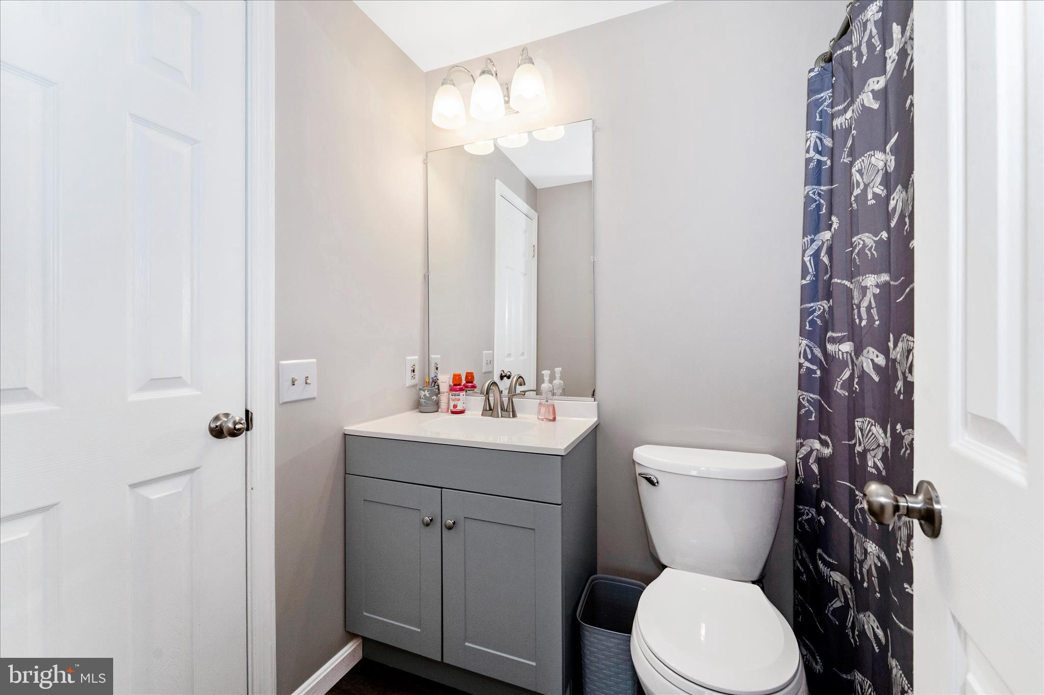 5798 Sunset View Lane Frederick, MD 21703 - Photo 28 of 40 Hall Bath