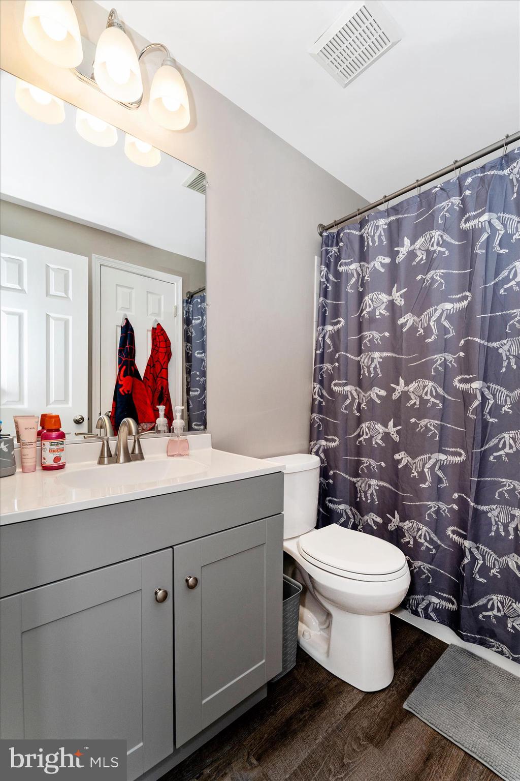 5798 Sunset View Lane Frederick, MD 21703 - Photo 29 of 40 Hall Bath