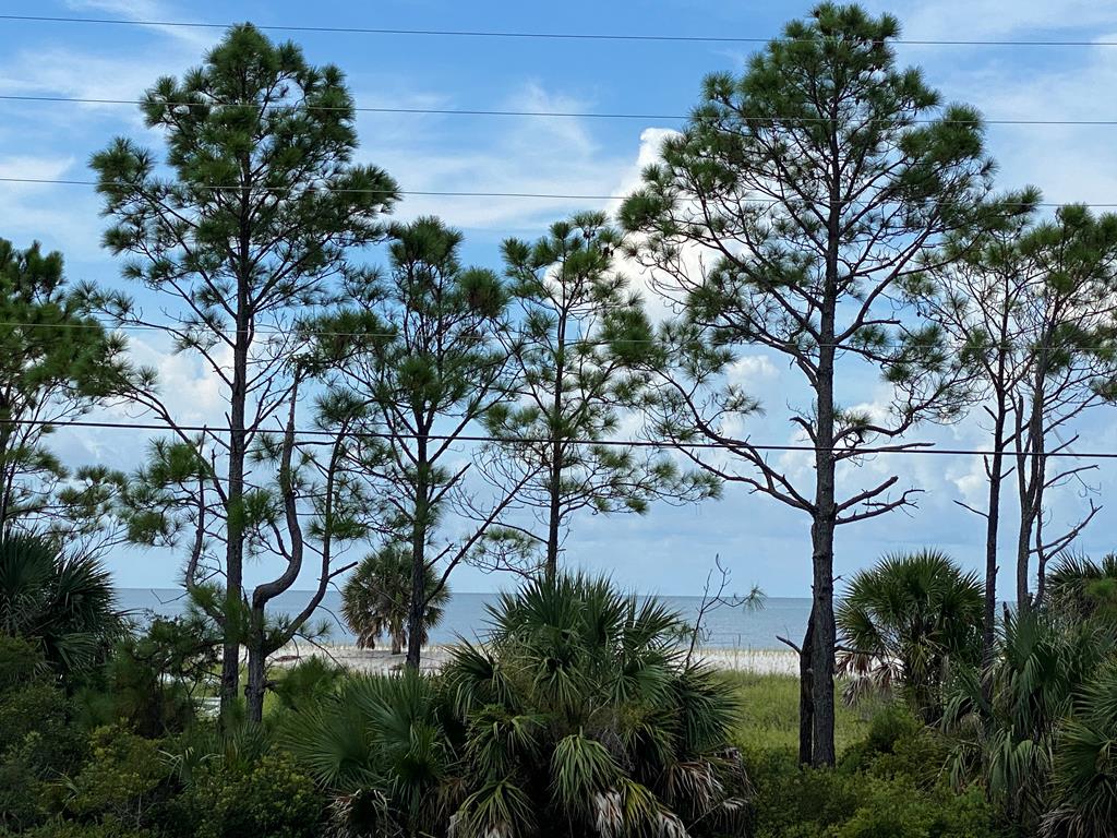 809 Indian Pass Road Port St. Joe, FL 32456 - Photo 27 of 28