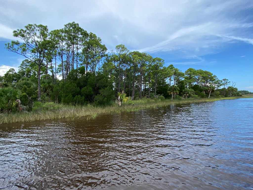 809 Indian Pass Road Port St. Joe, FL 32456 - Photo 5 of 28
