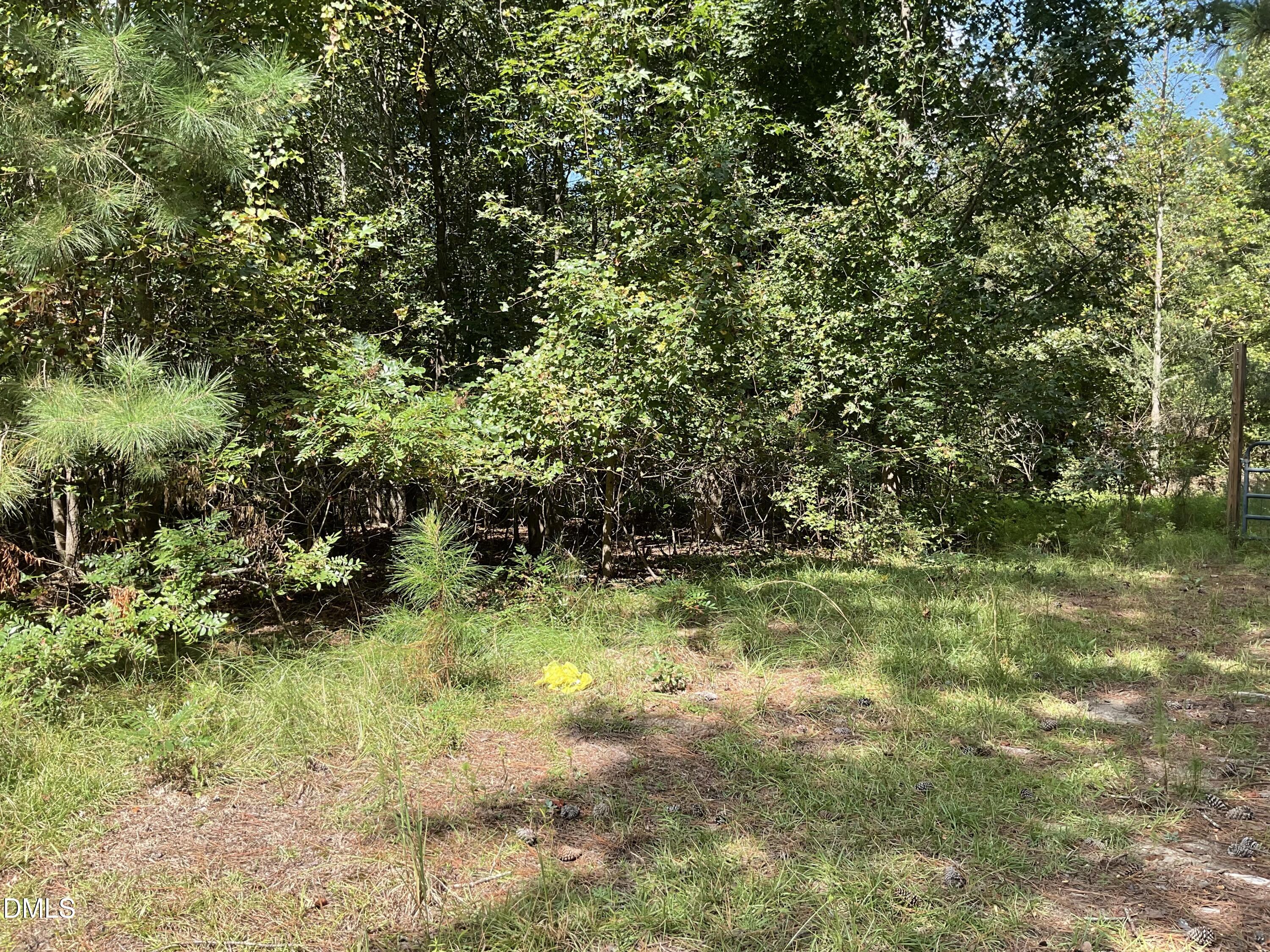 0 West Governor Brandon Street Spring Lake, NC 28390 - Photo 10 of 14