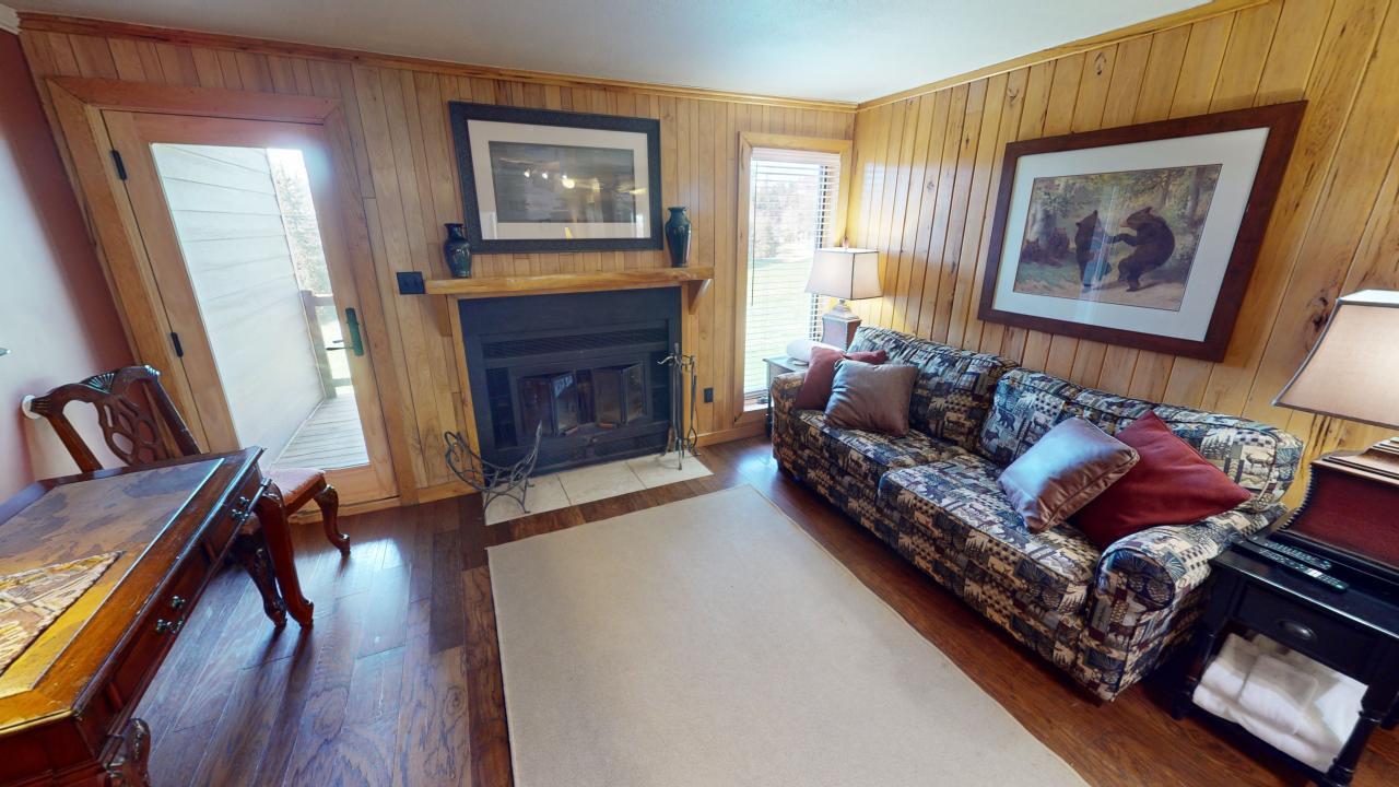 44 Powderidge Road Snowshoe, WV 26209 - Photo 3 of 13 Gallery Image 3
