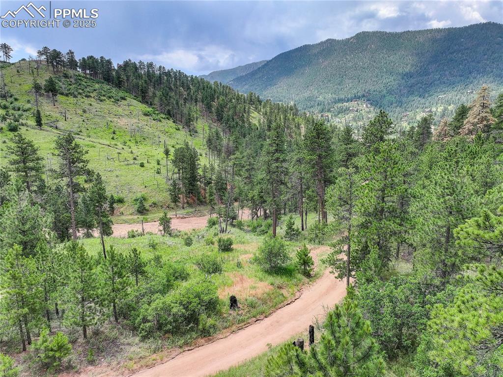 6085 Wellington Road Cascade, CO 80809 - Photo 11 of 13 a view of a city with lush green forest