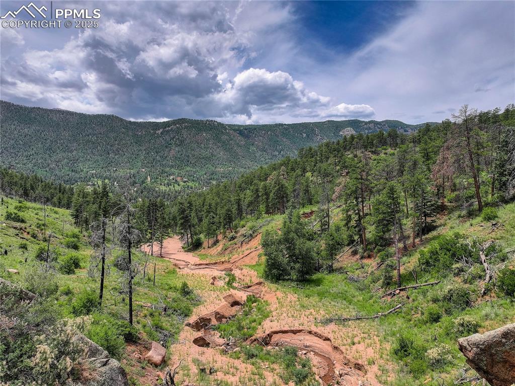 6085 Wellington Road Cascade, CO 80809 - Photo 13 of 13 a view of a city with lush green forest