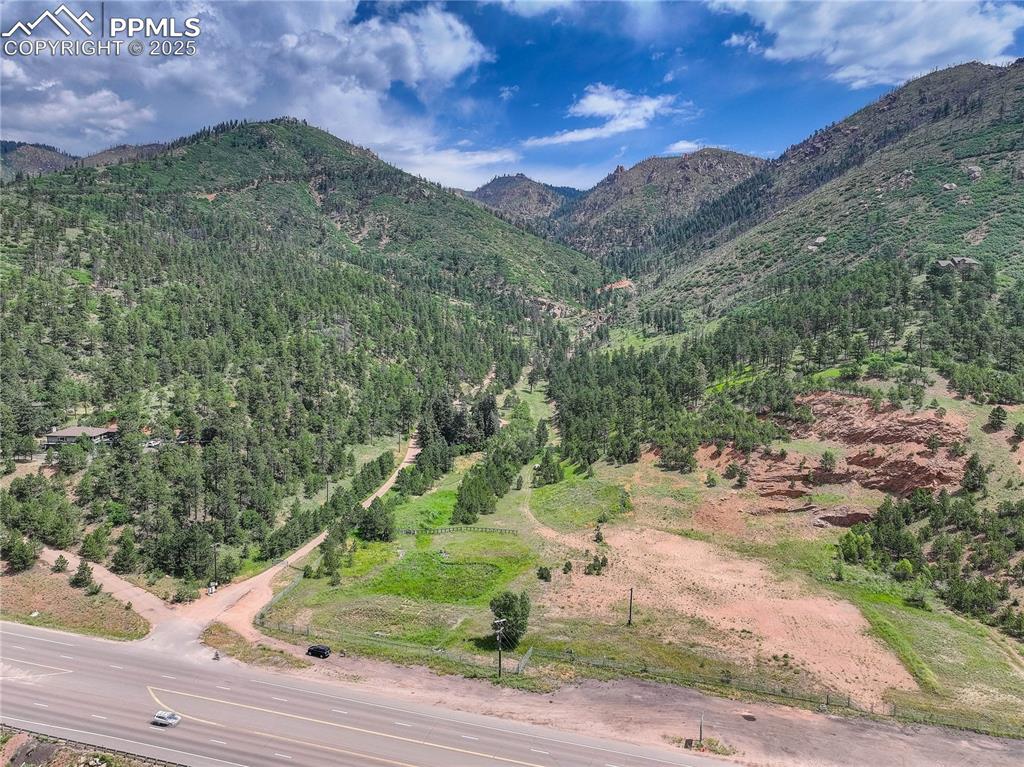 6085 Wellington Road Cascade, CO 80809 - Photo 3 of 13 a view of a yard with mountain