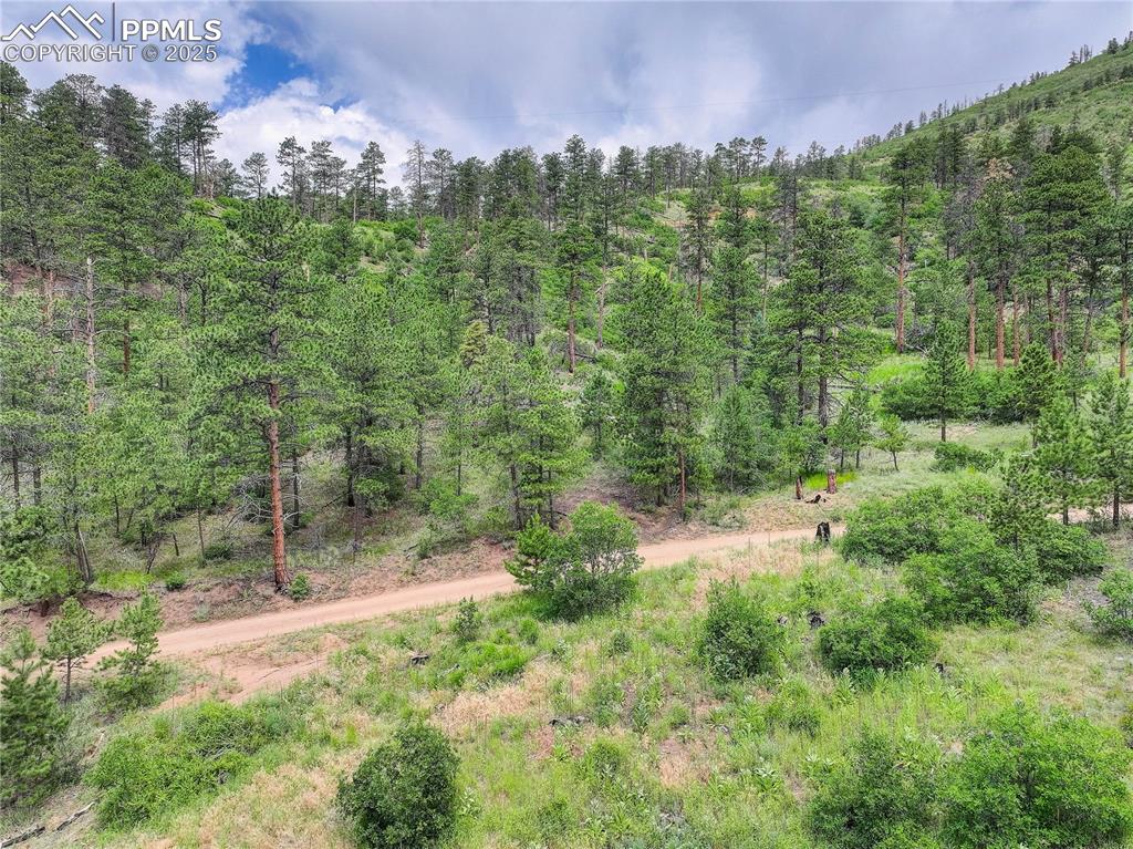 6085 Wellington Road Cascade, CO 80809 - Photo 10 of 13 a view of a green field with lots of bushes