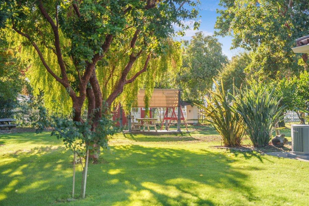 17235 Hill Road Morgan Hill, CA 95037 - Photo 29 of 44 a view of yard with swimming pool and trees