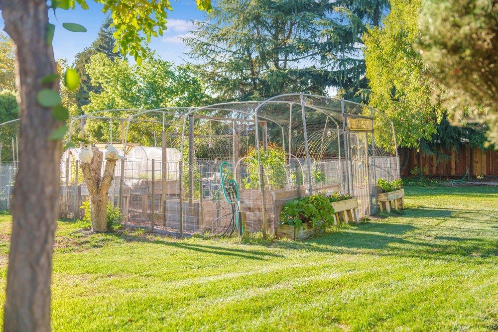 17235 Hill Road Morgan Hill, CA 95037 - Photo 31 of 44 a view of a park with large trees