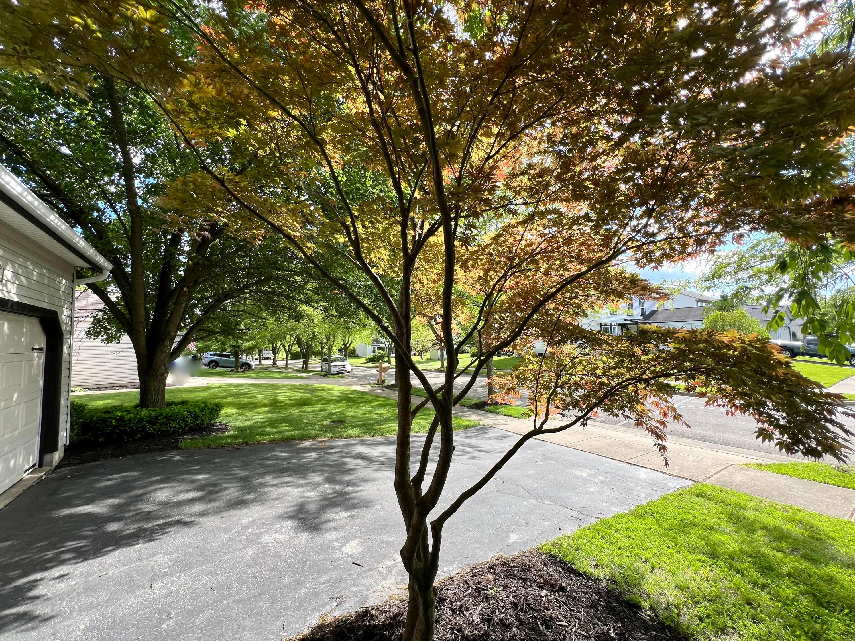 160 Kettering Bend Delaware, OH 43015 - Photo 48 of 49 A look from the covered front porch.