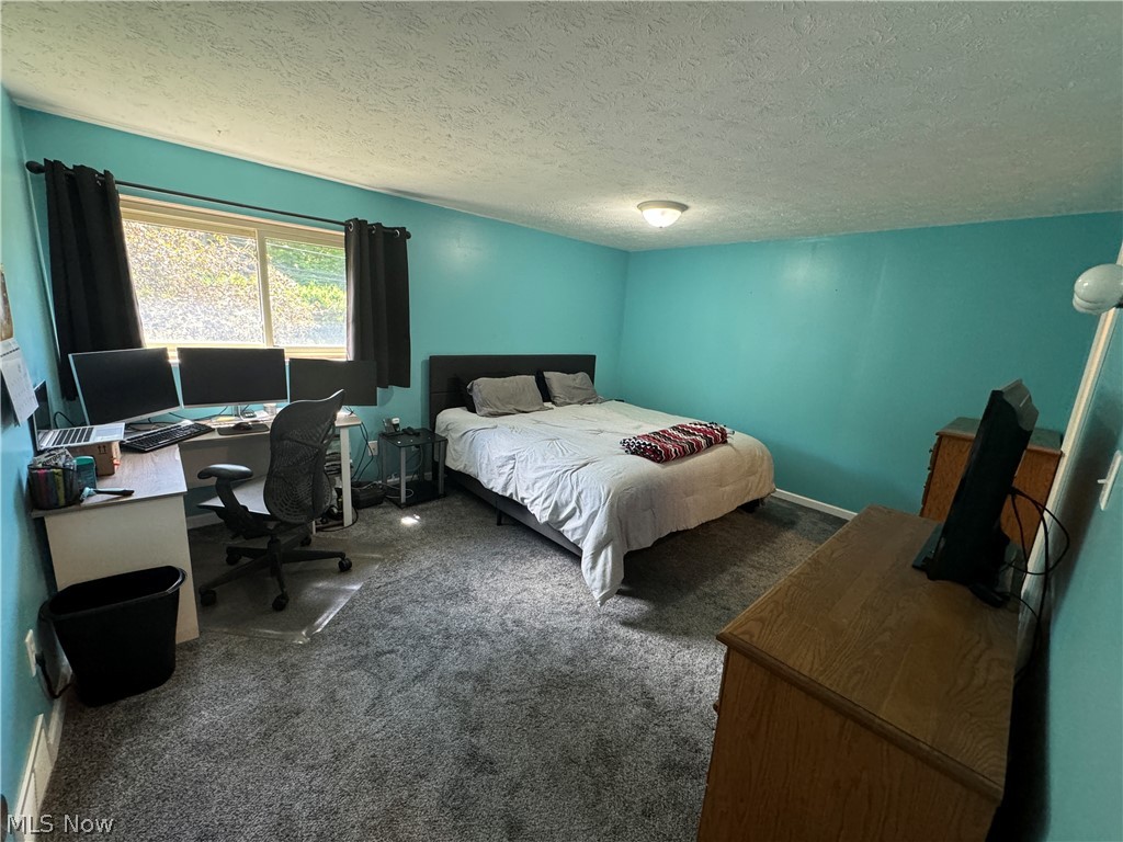 5219 D Cline Road Kent, OH 44240 - Photo 7 of 12 Spacious bedroom 1 featuring neutral carpeting.