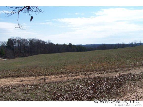 33.36-ac West V Thompson Road Rutherfordton, NC 28139 - Photo 2 of 12