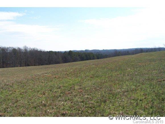 33.36-ac West V Thompson Road Rutherfordton, NC 28139 - Photo 3 of 12