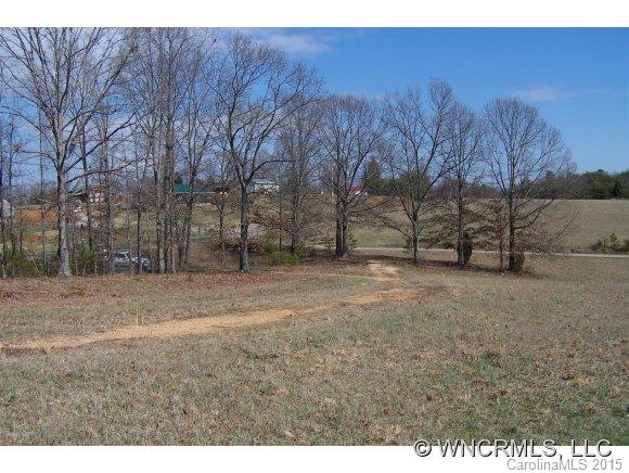 33.36-ac West V Thompson Road Rutherfordton, NC 28139 - Photo 5 of 12