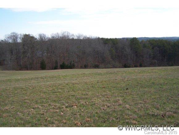 33.36-ac West V Thompson Road Rutherfordton, NC 28139 - Photo 8 of 12