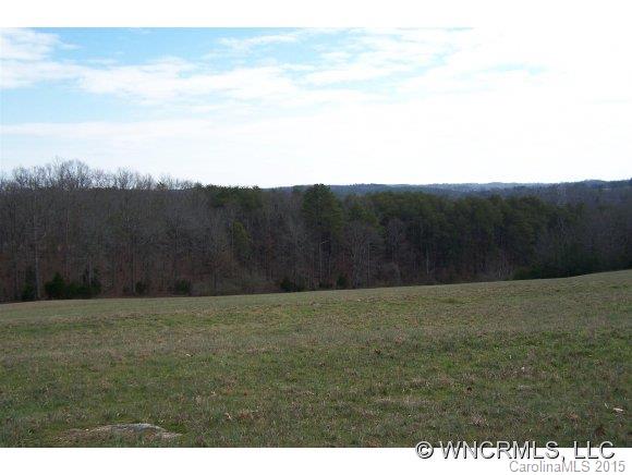 33.36-ac West V Thompson Road Rutherfordton, NC 28139 - Photo 10 of 12