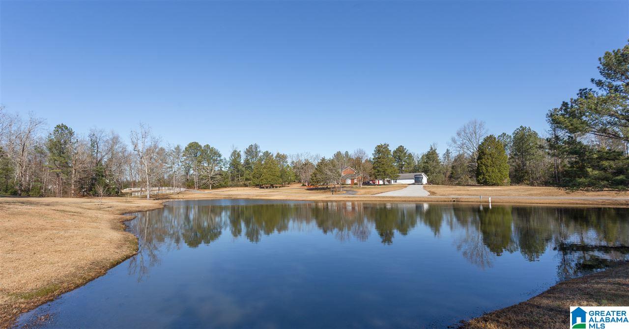 281 Hidden Hills Road Jacksonville, AL 36265 - Photo 49 of 50