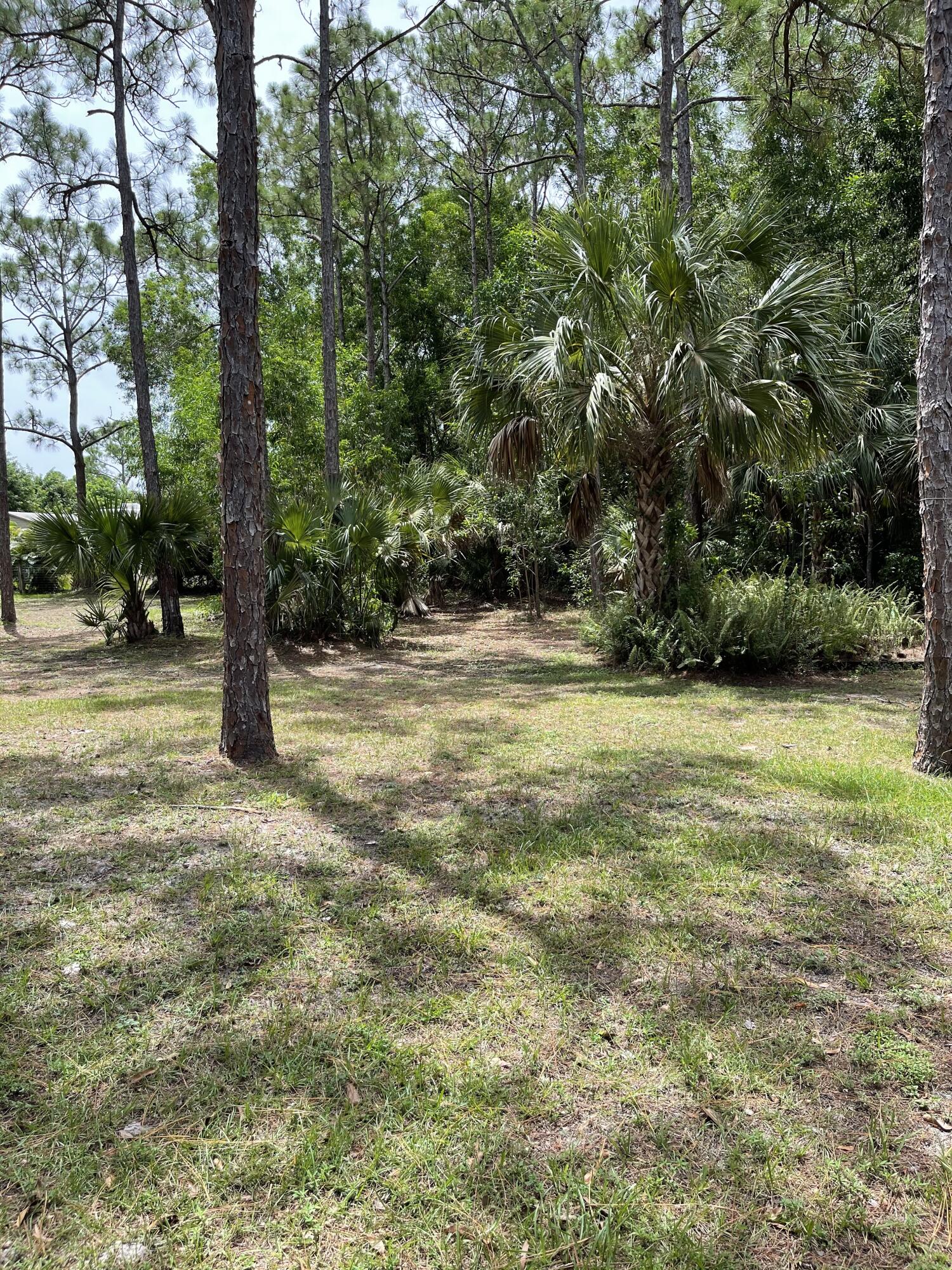 10874 154th Road North Jupiter, FL 33478 - Photo 11 of 21 Backyard