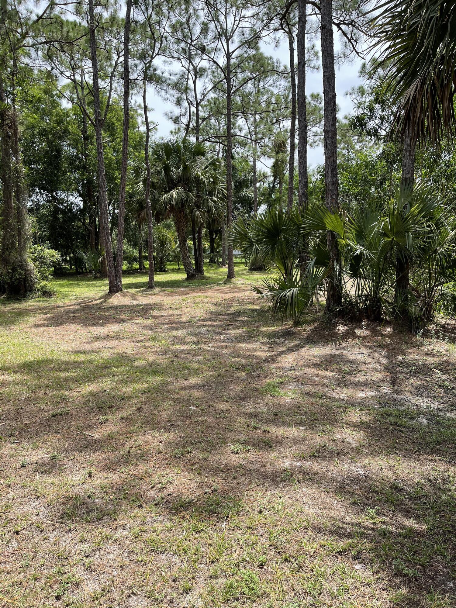 10874 154th Road North Jupiter, FL 33478 - Photo 12 of 21 Backyard