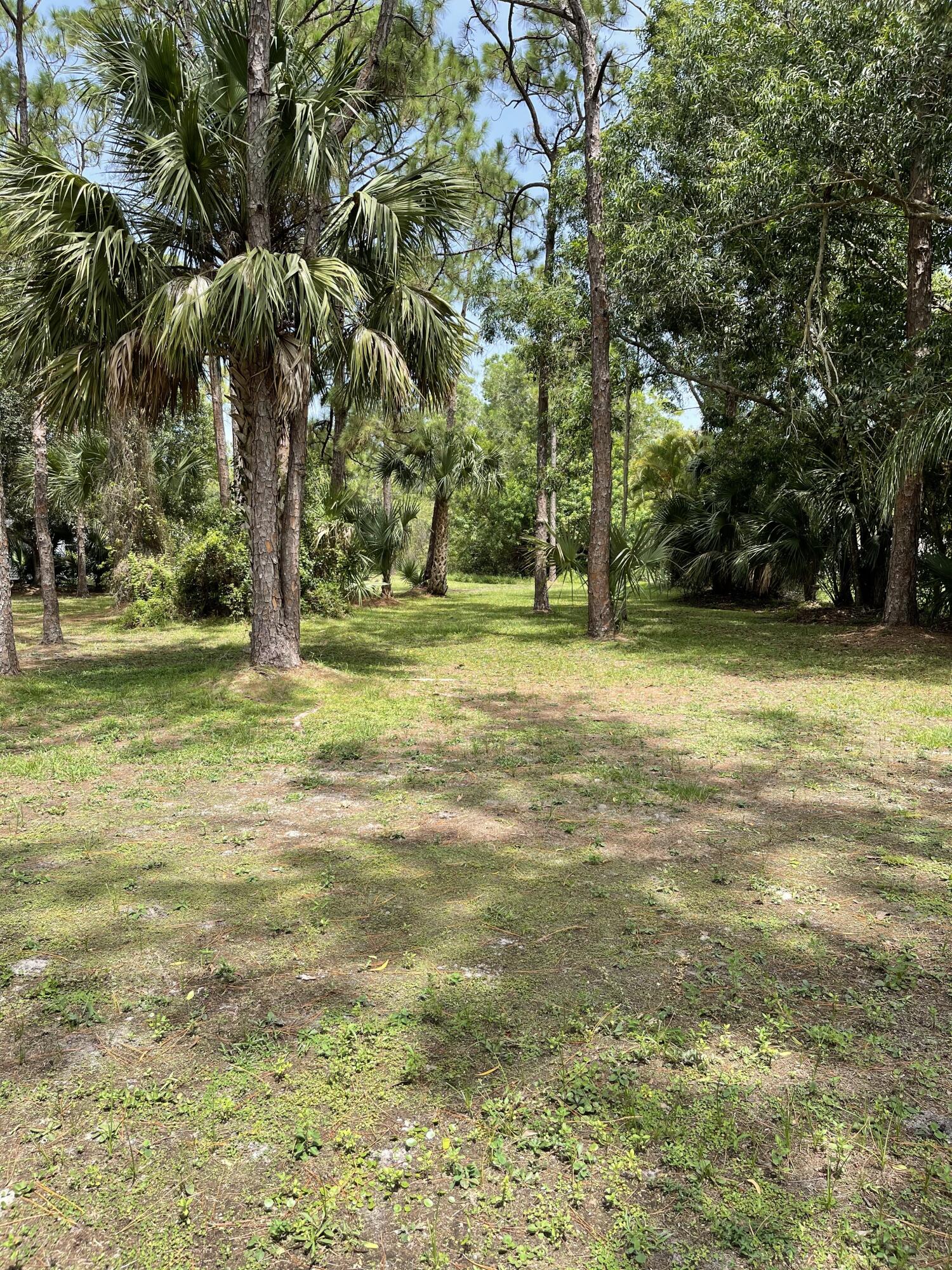 10874 154th Road North Jupiter, FL 33478 - Photo 14 of 21 Backyard
