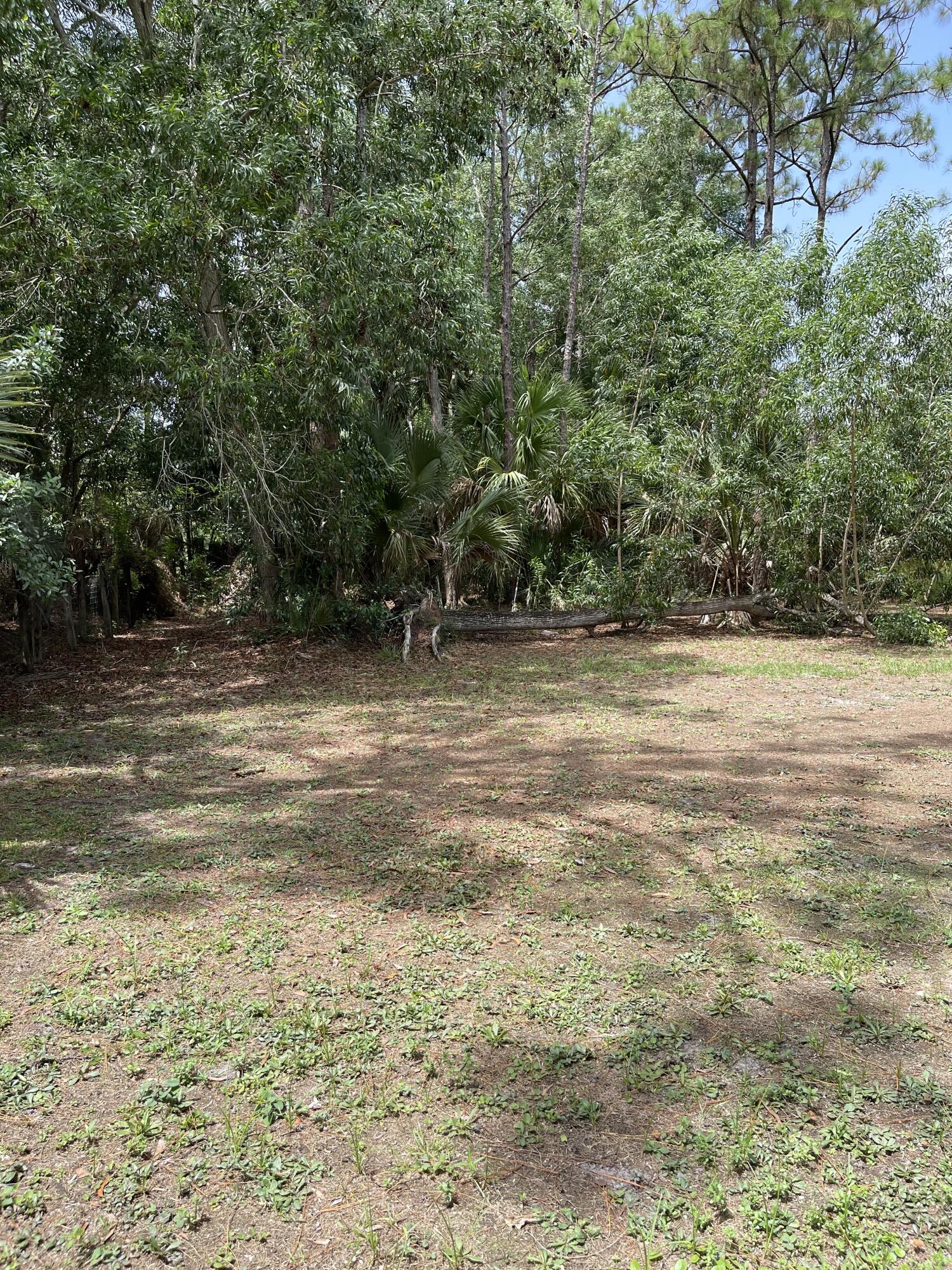 10874 154th Road North Jupiter, FL 33478 - Photo 15 of 21 Backyard