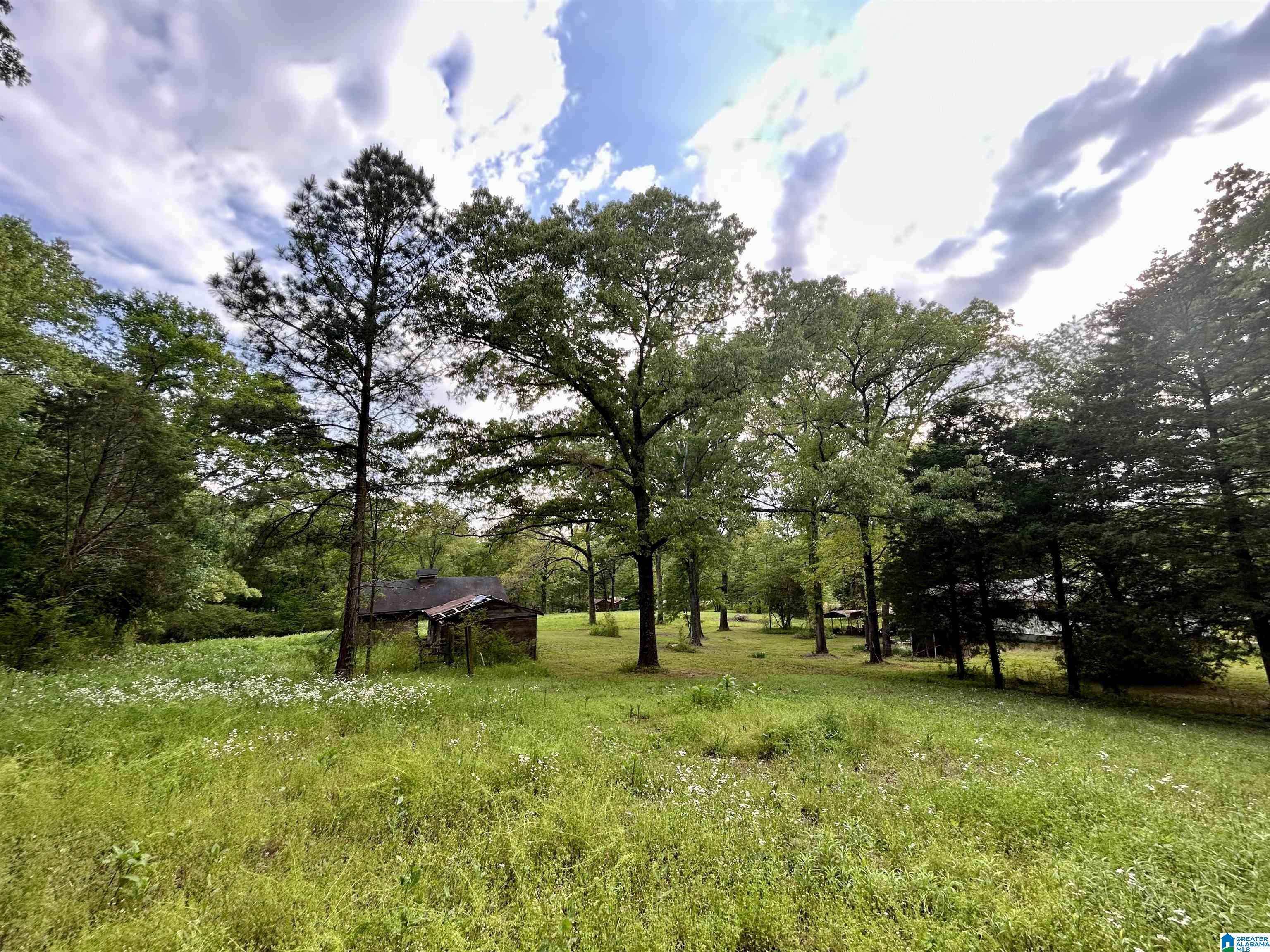 771 Priebes Mill Road Oxford, AL 36203 - Photo 28 of 35