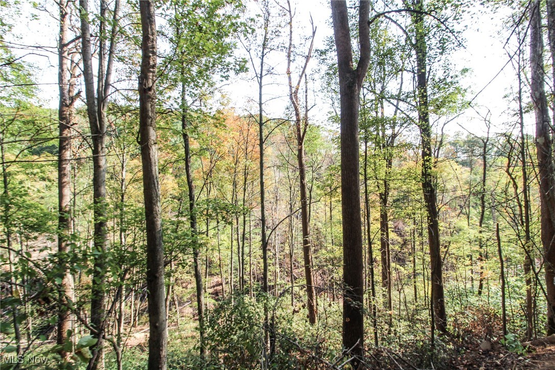 15999 State Route 26 Reno, OH 45773 - Photo 15 of 18 View of wooded area
