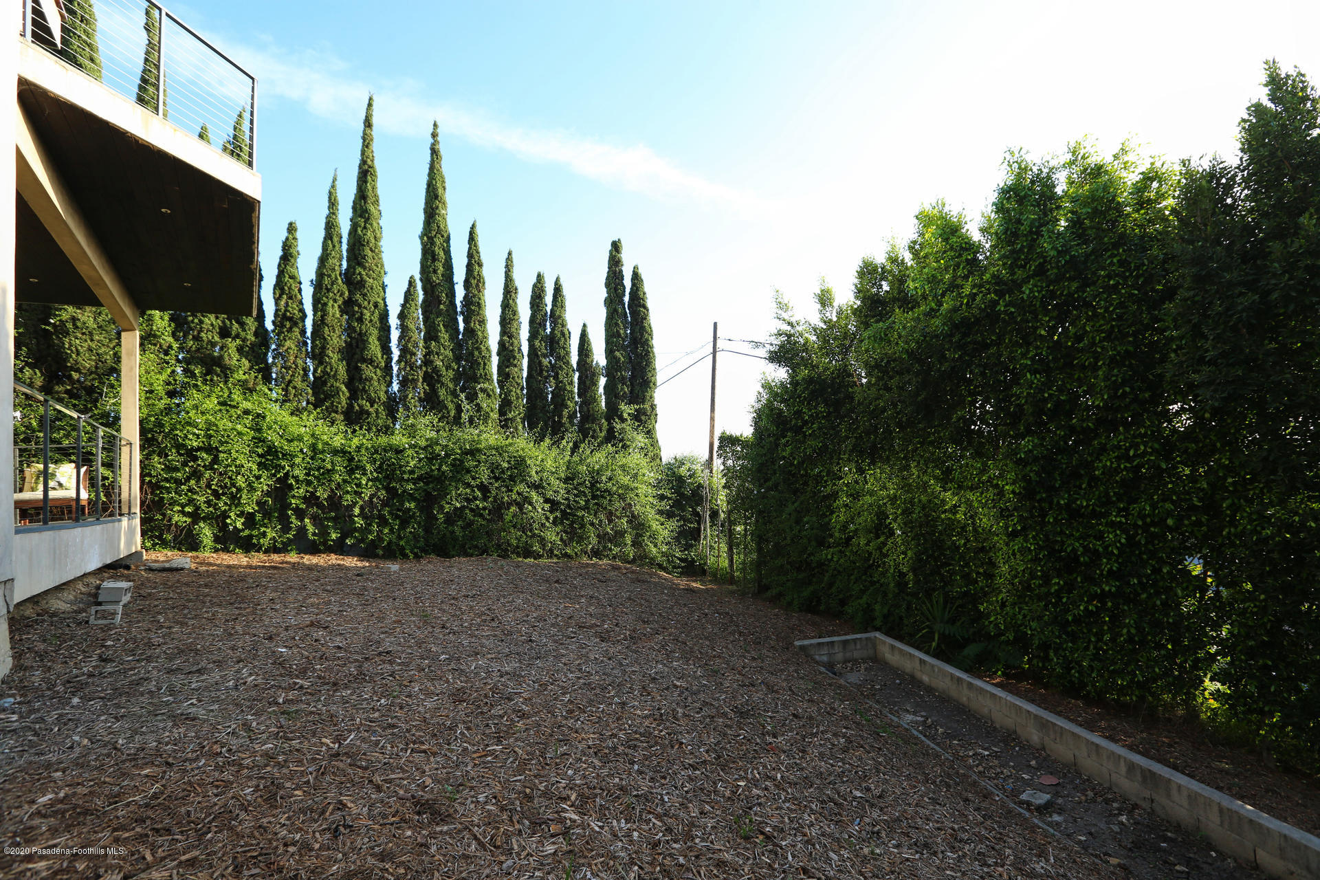 2315 Holgate Square Los Angeles, CA 90031 - Photo 54 of 56 a view of a yard with plants and large trees
