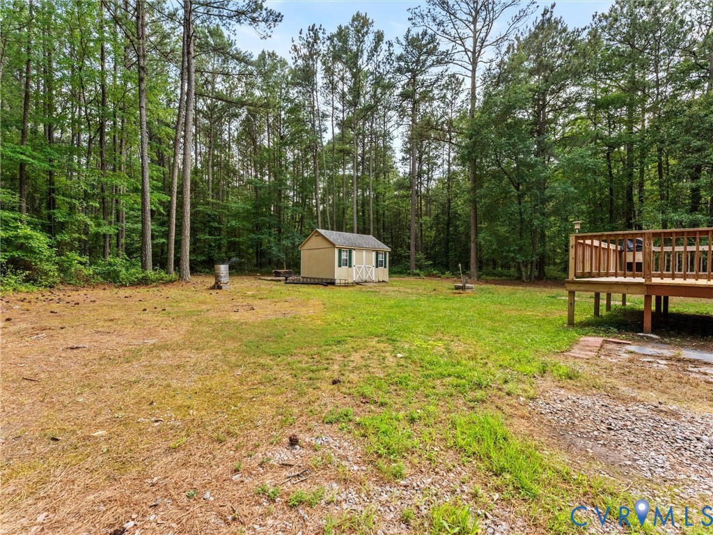 14175 Lebanon Road Disputanta, VA 23842 - Photo 44 of 60 Spacious backyard featuring a light beige storage