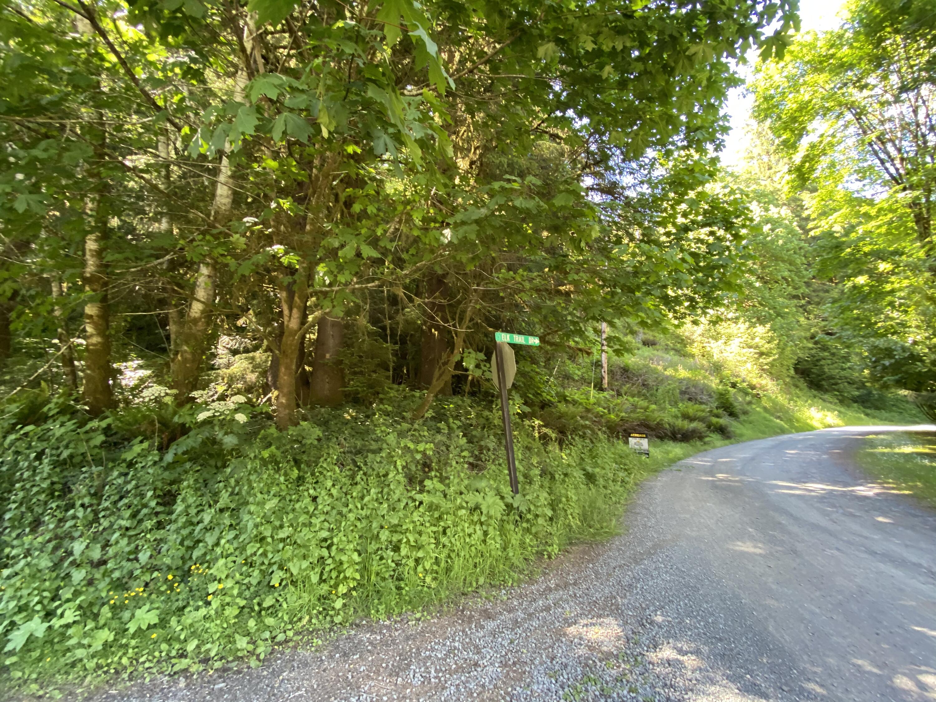 West Point Drive Nehalem, OR 97131 - Photo 2 of 19 Photo Jun 09, 4 21 06 PM