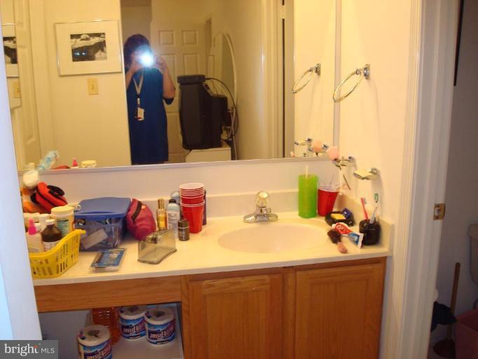 6149 Good Hunters Ride Columbia, MD 21045 - Photo 15 of 30 a bathroom with a sink and a mirror