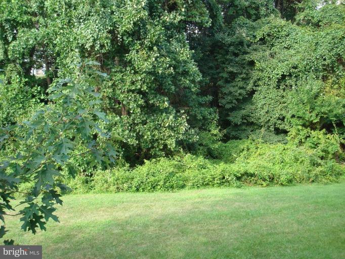 6149 Good Hunters Ride Columbia, MD 21045 - Photo 28 of 30 a view of a lush green space
