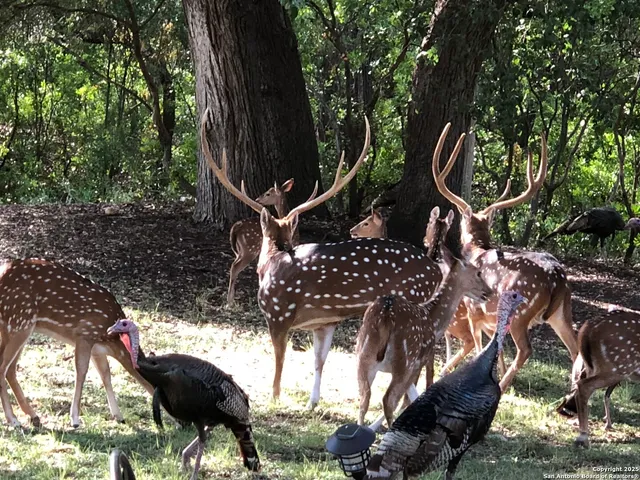 $339,500 | 39 Oak Lane, Brackettville, TX 78832