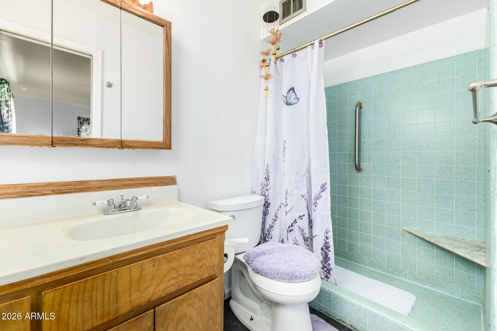 5519 Casper Road Mesa, AZ 85205 - Photo 14 of 23 a bathroom with a sink toilet and shower