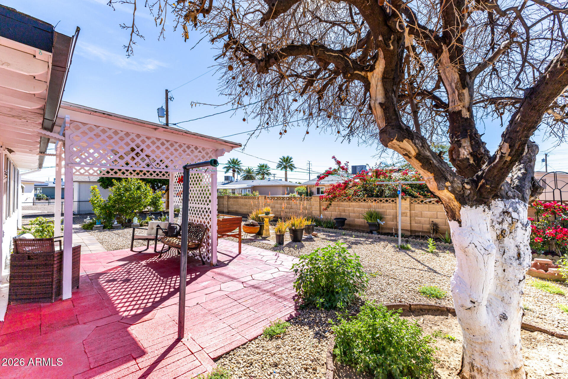 5519 Casper Road Mesa, AZ 85205 - Photo 20 of 23 a view of a patio with table and chairs and potted plants