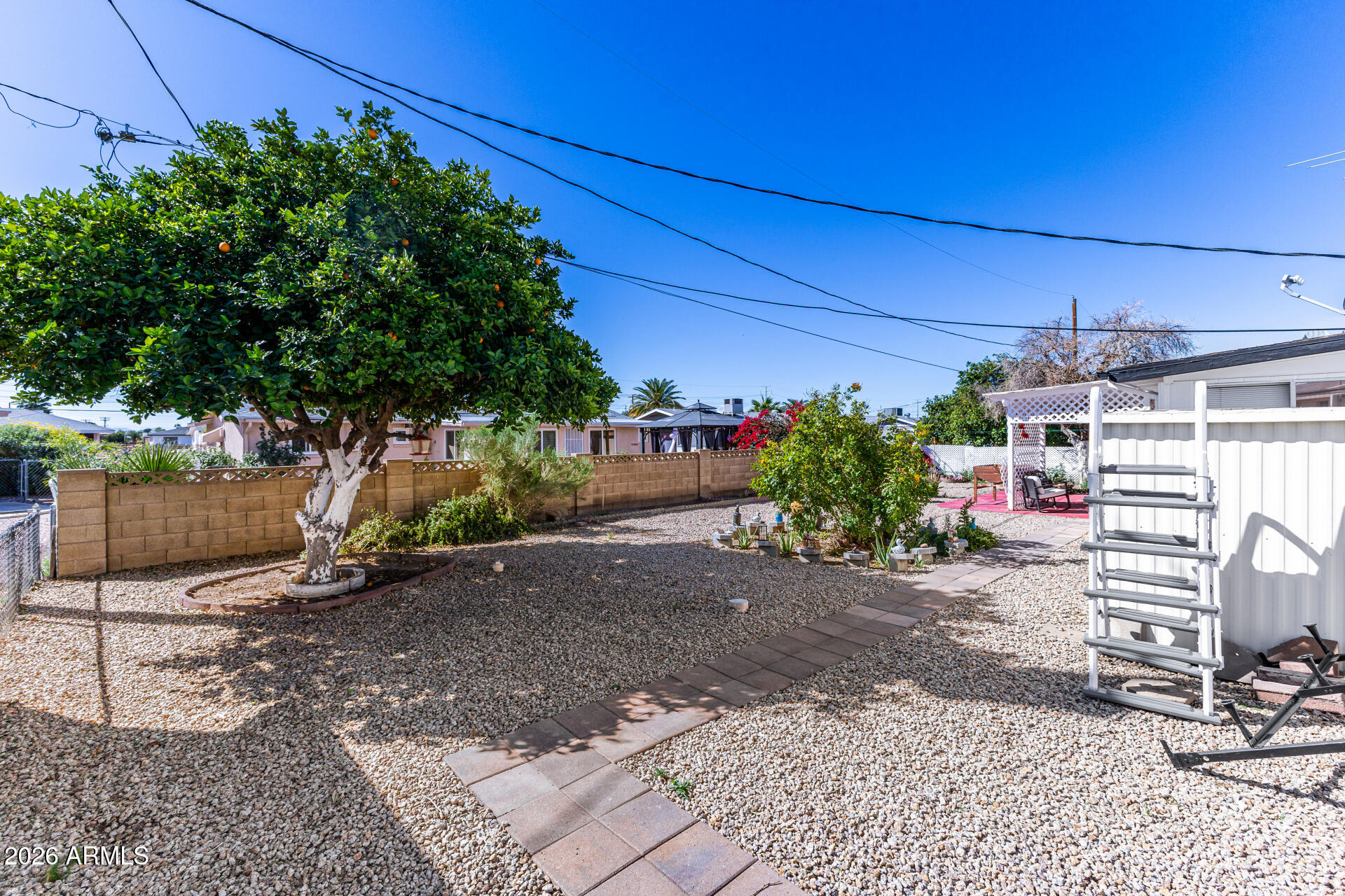 5519 Casper Road Mesa, AZ 85205 - Photo 23 of 23 a backyard of a house with potted plants and large trees