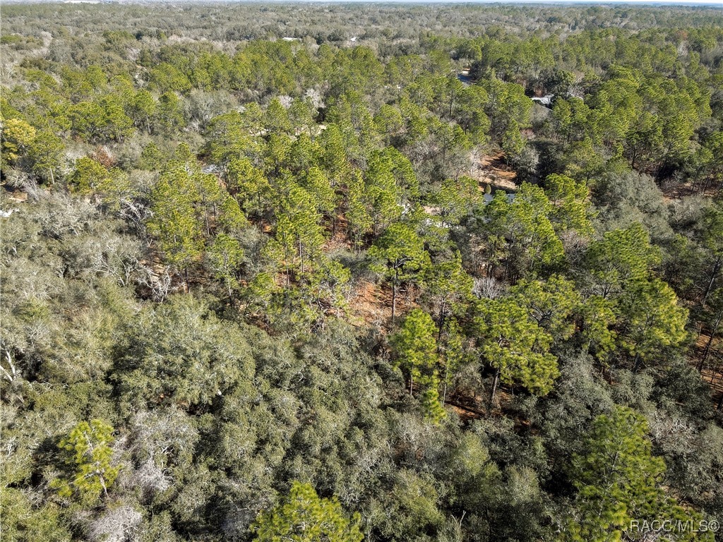 3905 North Longvalley Road Hernando, FL 34442 - Photo 9 of 12