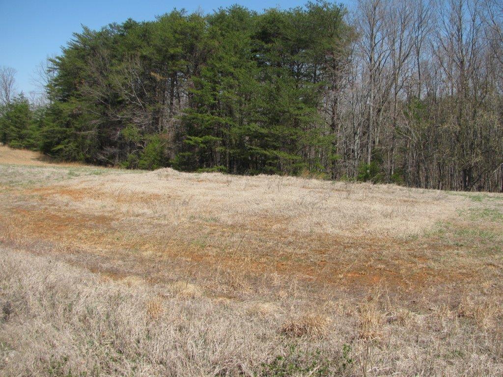 4348 Old Mine Road Gretna, VA 24557 - Photo 27 of 29 a view of empty field with trees