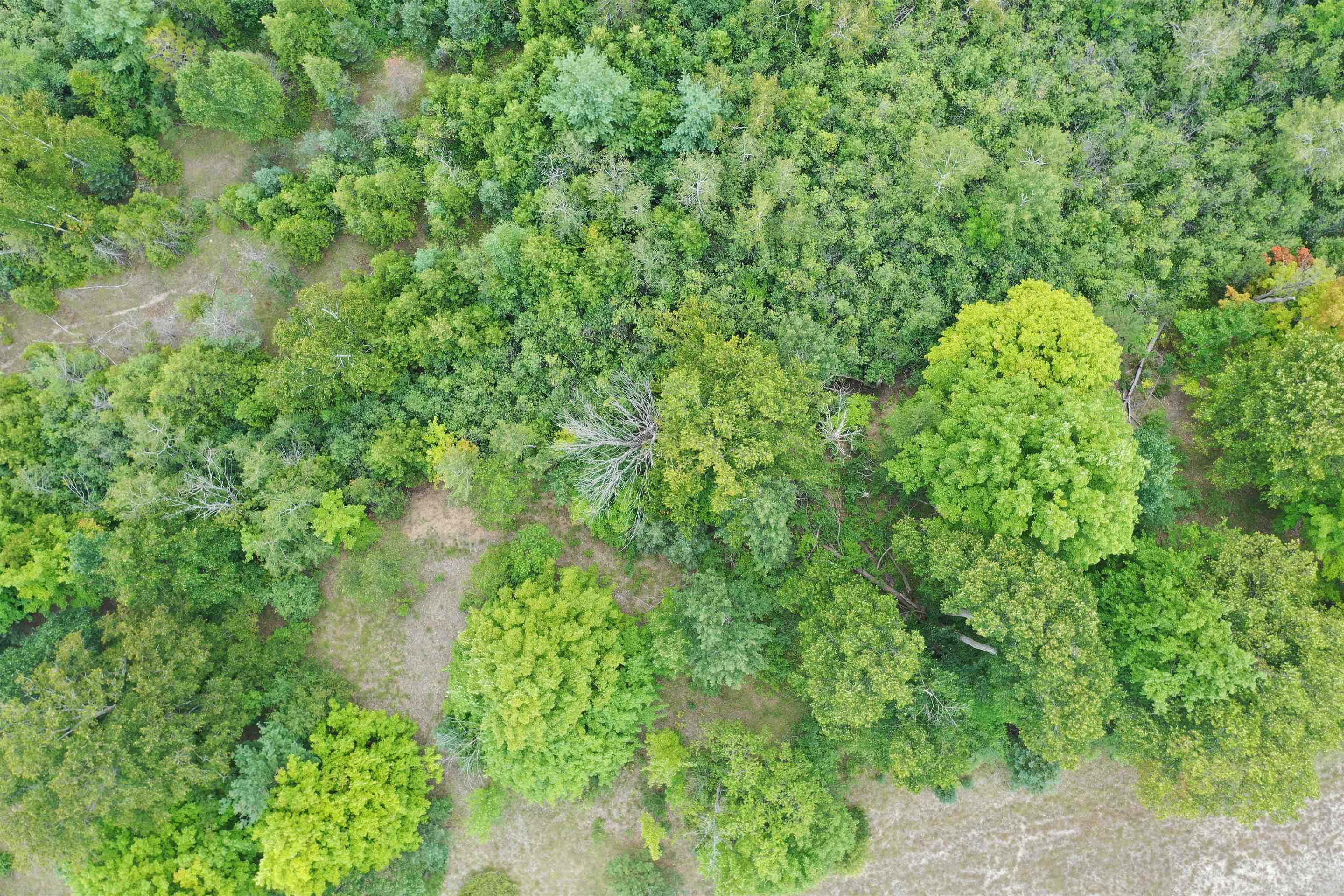 0 Us-31 Street Traverse City, MI 49685 - Photo 29 of 89