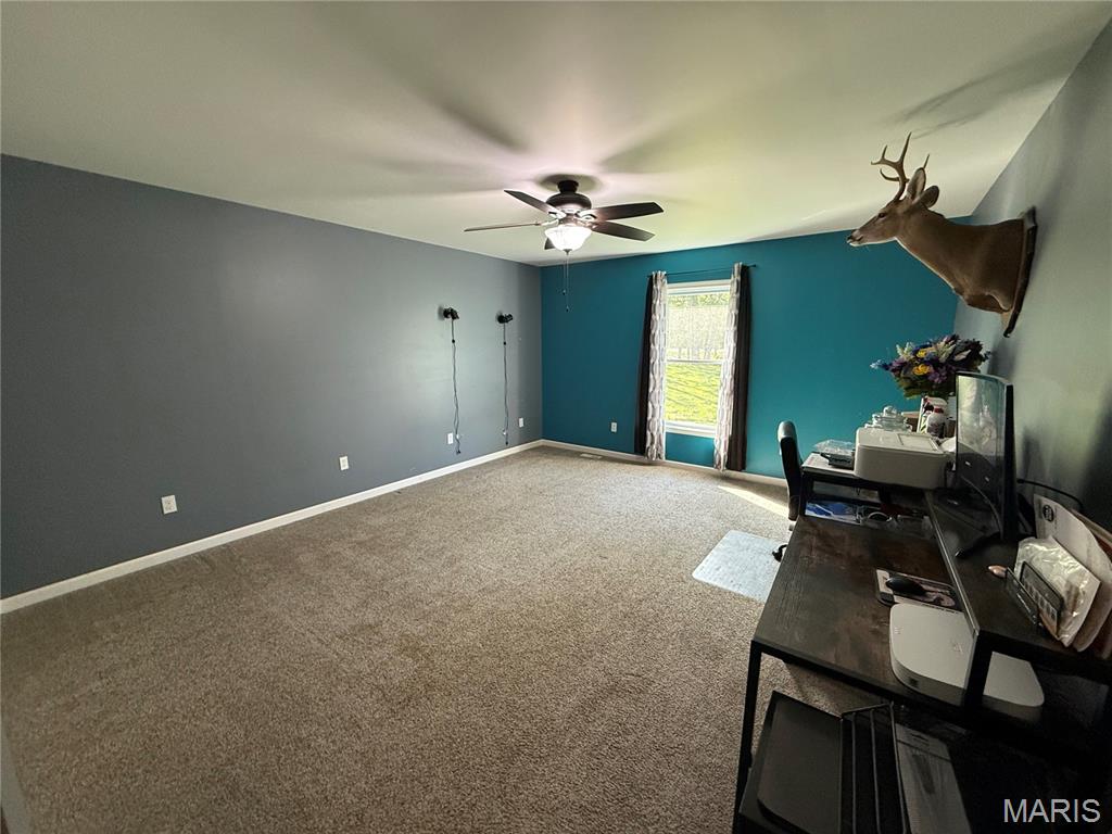 157 Timber Glen Road Steelville, MO 65565 - Photo 27 of 52