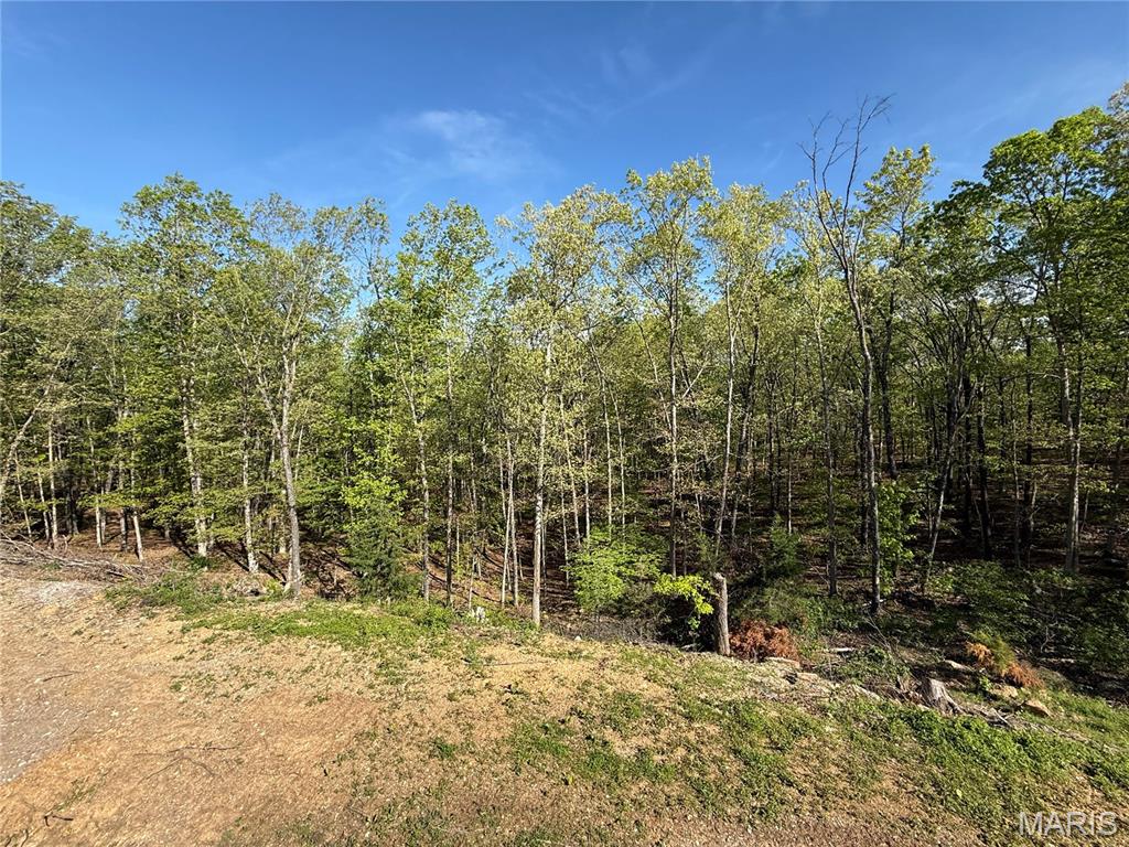 157 Timber Glen Road Steelville, MO 65565 - Photo 47 of 52