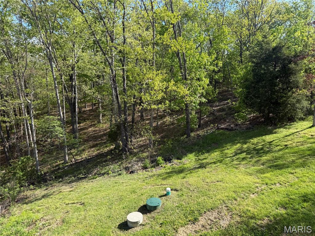 157 Timber Glen Road Steelville, MO 65565 - Photo 48 of 52