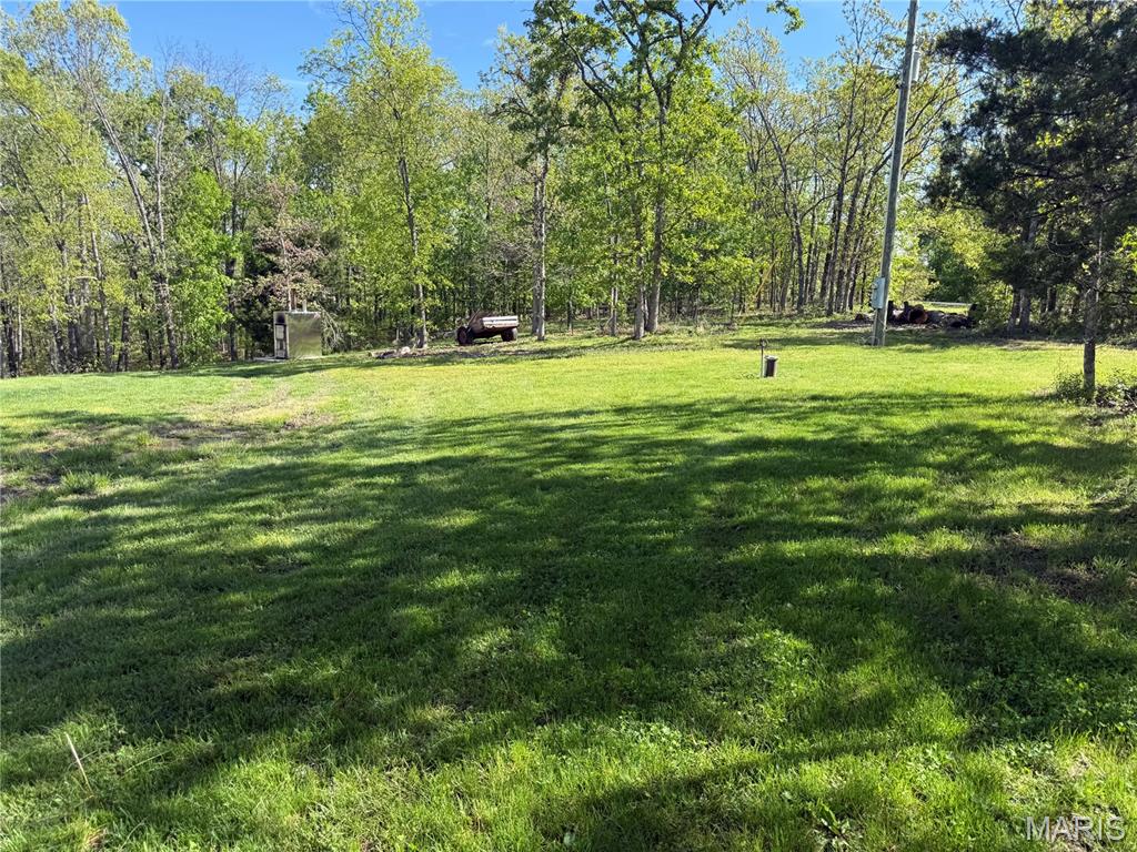 157 Timber Glen Road Steelville, MO 65565 - Photo 49 of 52