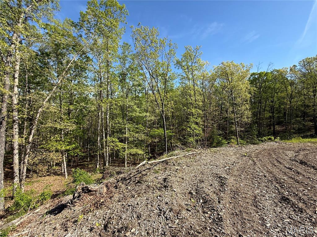 157 Timber Glen Road Steelville, MO 65565 - Photo 50 of 52