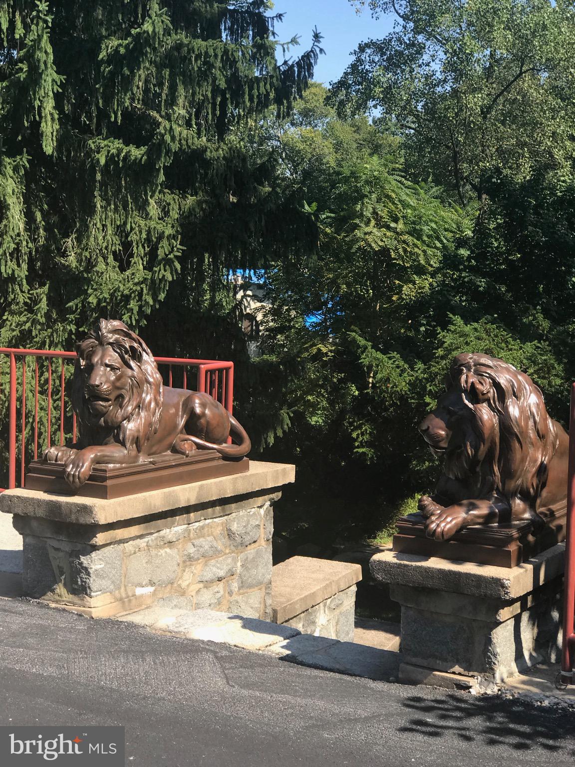 2747 Linden Lane, Unit 203 Silver Spring, MD 20910 - Photo 34 of 34 Grounds overlook the "Glen"
