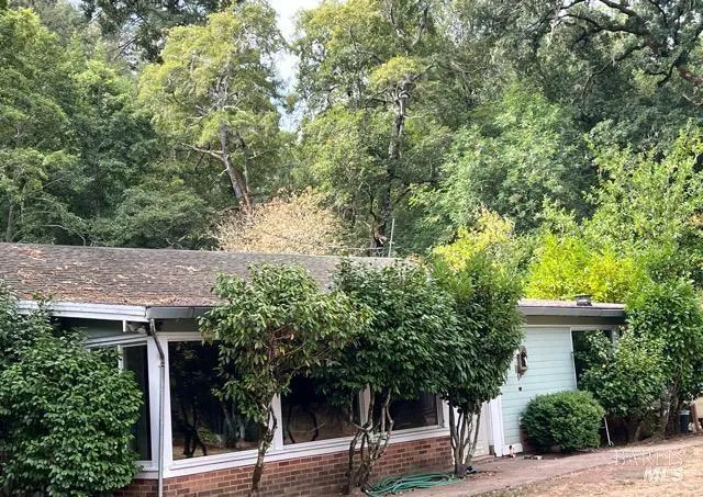 a house with trees in front of it