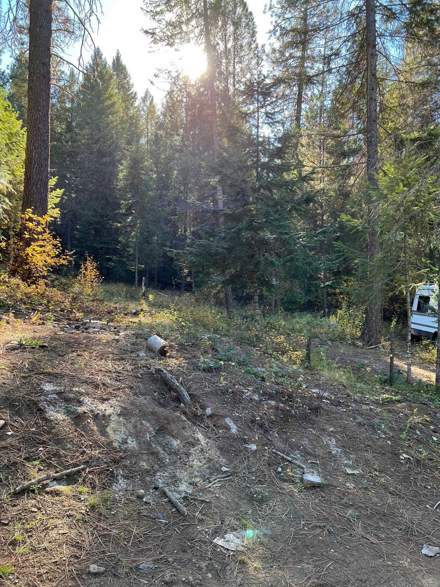 4966 D Lyons Hill Road Springdale, WA 99173 - Photo 12 of 26