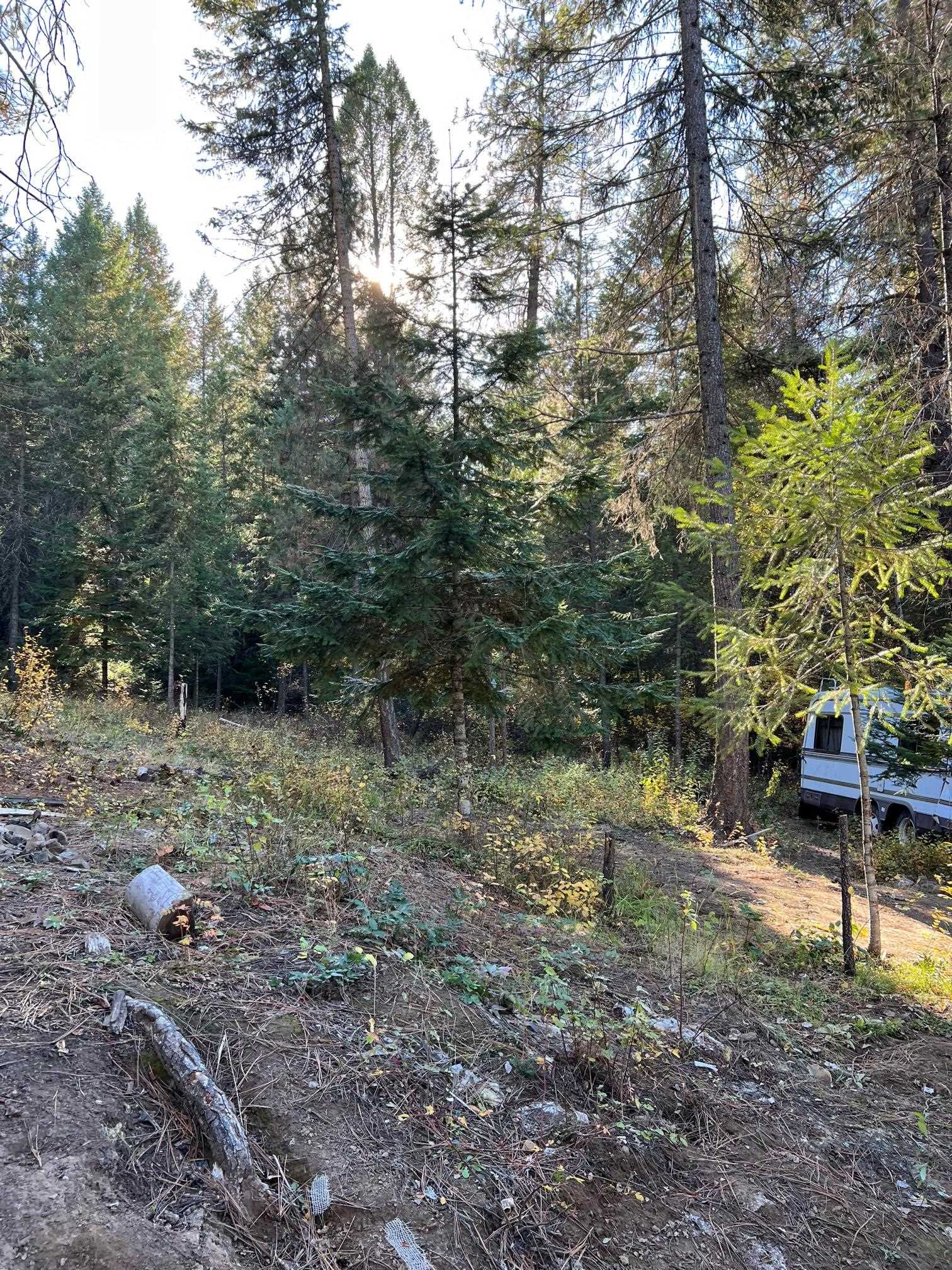 4966 D Lyons Hill Road Springdale, WA 99173 - Photo 13 of 26